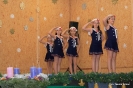 2010_falukaracsony_22