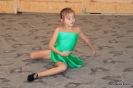 2010_falukaracsony_25