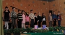 2010_falukaracsony_33