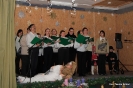 2010_falukaracsony_7