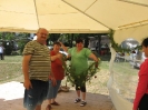 2011_falunap_15