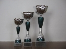 2011_falunap_1
