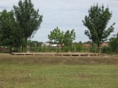 2011_falunap_23