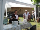 2011_falunap_27