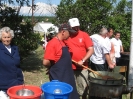 2011_falunap_30