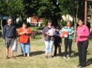 2011_falunap_34