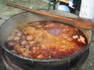 2011_falunap_36