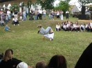 2011_falunap_44