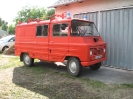 2011_falunap_53