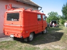 2011_falunap_54