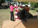 2011_falunap_5