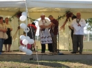 2011_falunap_61