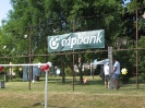 2011_falunap_8