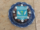 2011_falunap_95
