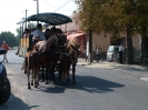 2012_bodza_feszt_111