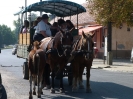 2012_bodza_feszt_122