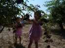 2012_bodza_feszt_123