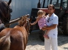 2012_bodza_feszt_127