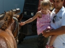 2012_bodza_feszt_128