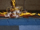 2012_idosek_napja_23