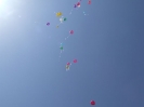 2012_ovi_atado_42