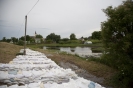 2013_arviz_101
