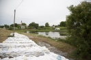 2013_arviz_103