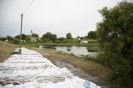 2013_arviz_104