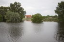 2013_arviz_107