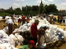 2013_arviz_110