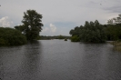 2013_arviz_118