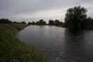 2013_arviz_119