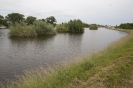 2013_arviz_133