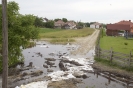 2013_arviz_138