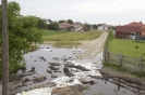 2013_arviz_139
