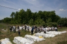 2013_arviz_143