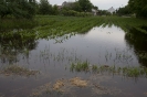 2013_arviz_144