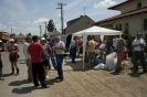 2013_arviz_176
