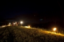 2013_arviz_177
