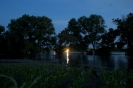 2013_arviz_212