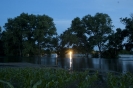 2013_arviz_213
