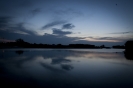 2013_arviz_216