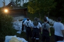 2013_arviz_248