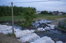 2013_arviz_260