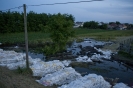 2013_arviz_261