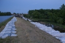 2013_arviz_263