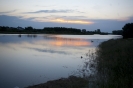 2013_arviz_281