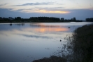 2013_arviz_285