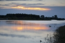 2013_arviz_291