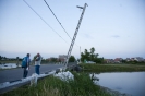 2013_arviz_293